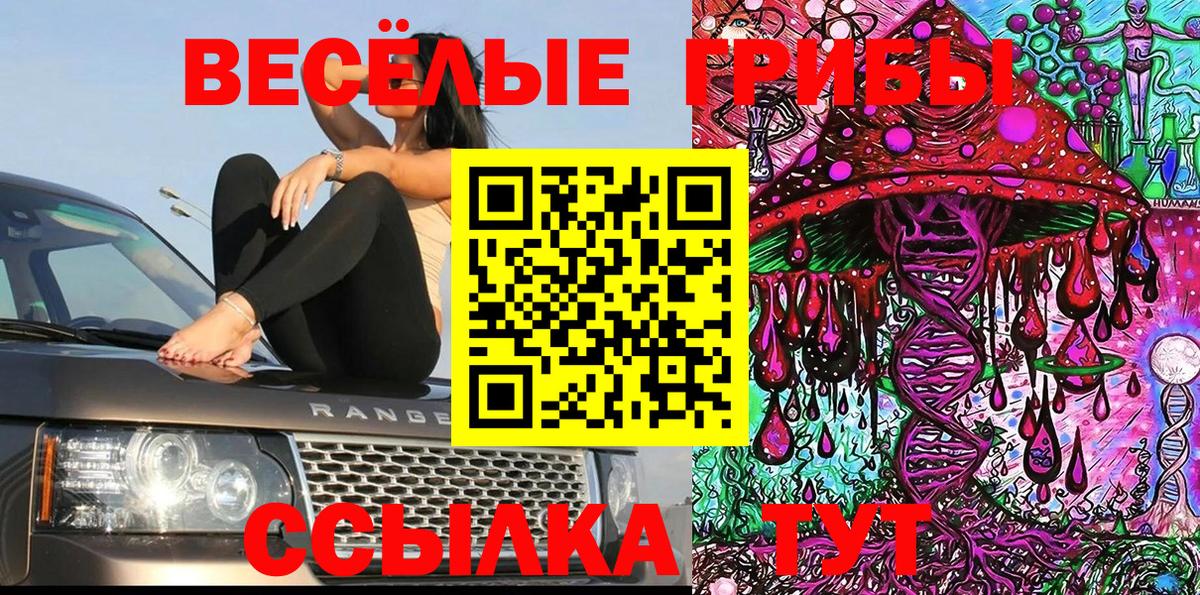 Кубинка  Галлюциногенные грибы Psilocybe  Вход с VPN 