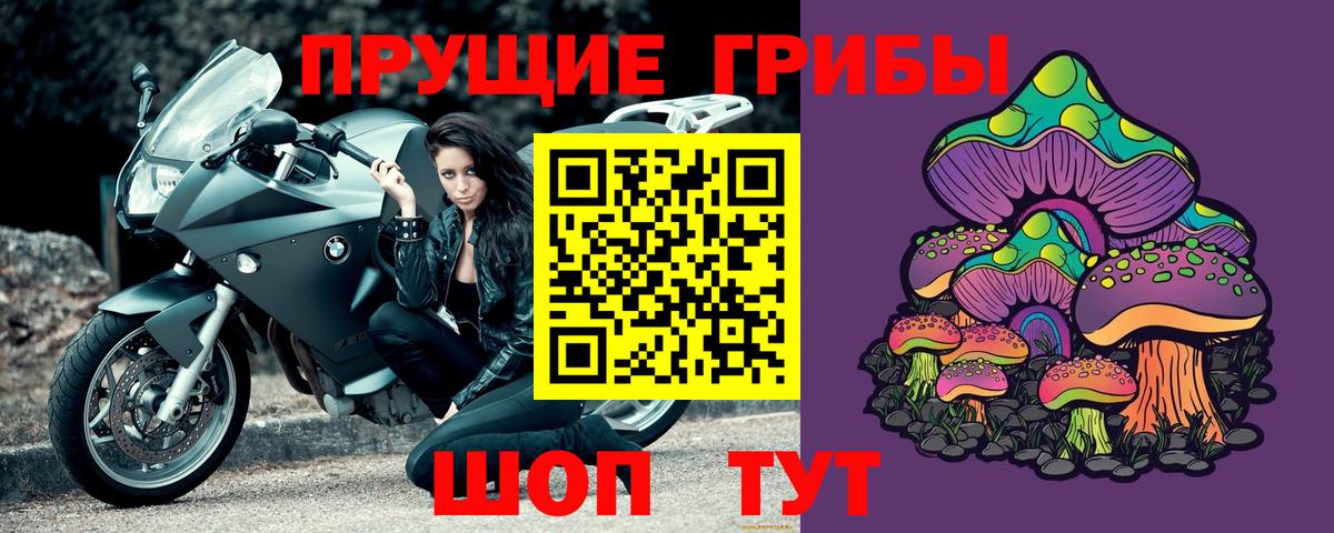 Галлюциногенные грибы GOLDEN TEACHER Кубинка